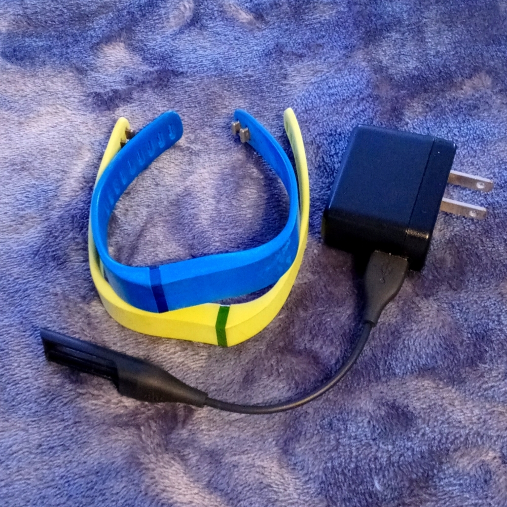 Fitbit Flex bands and charger
